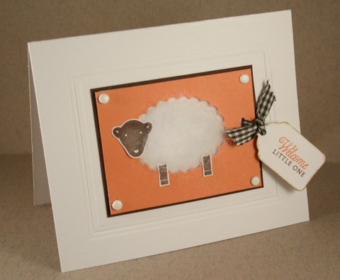 121407_wooly_sheep_baby_card