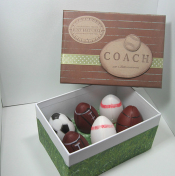 Coach_egg_box_2