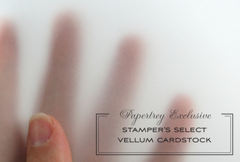 Stampers_select_vellum_cardstock