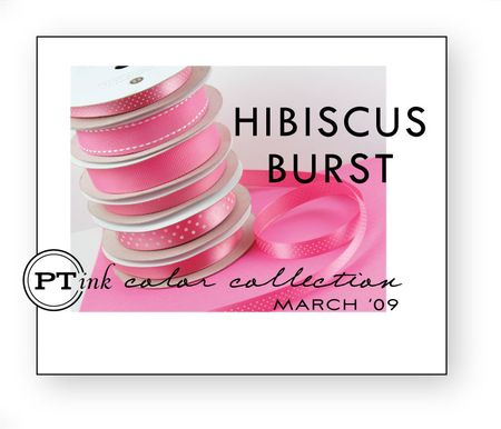 Hibiscus-Burst