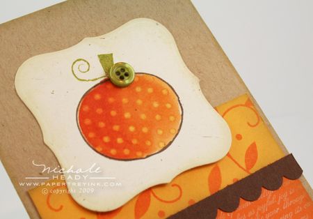 Polka dot pumpkin closeup