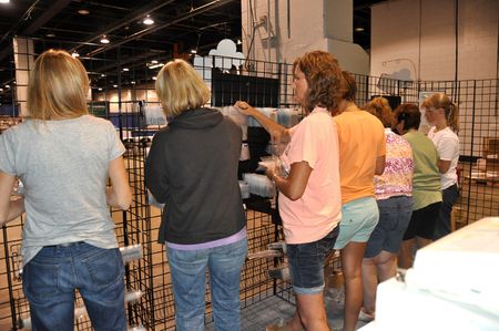 Set up product Set up product