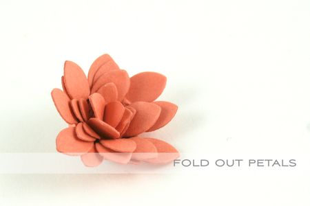 Fold out petals