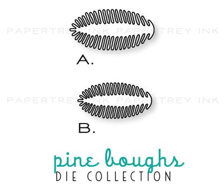 Pine-boughs-dies