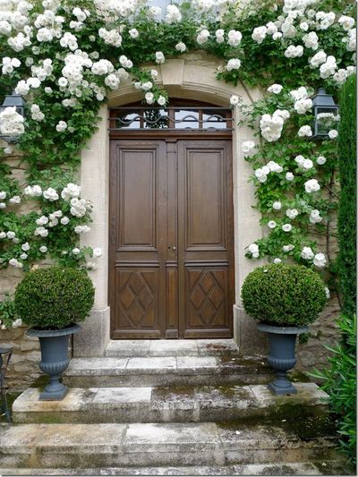 Roses door
