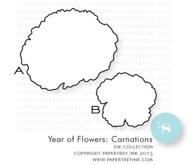 YOF-Carnations