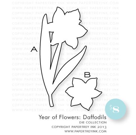 YOF-Daffodils