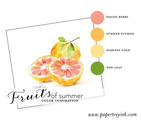 Fruits-of-Summer-2