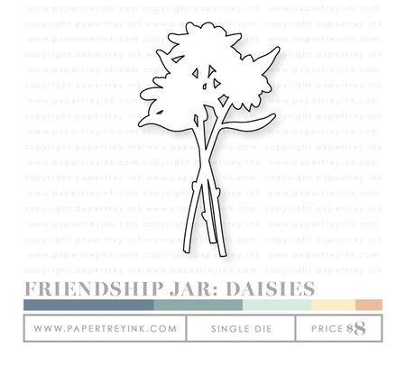 Friendship-jar-daisies-die
