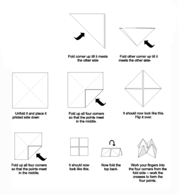 Folding instructions