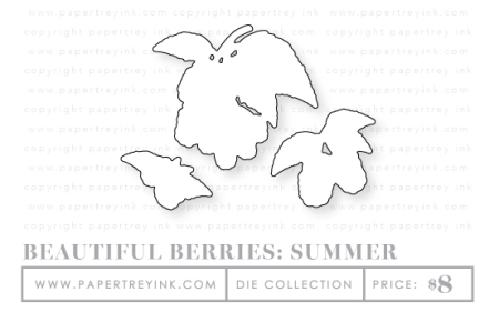 Beautiful-Berrries-Summer-dies