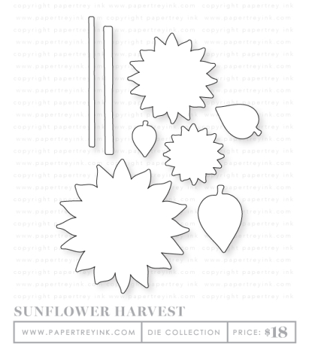 Sunflower-harvest-dies