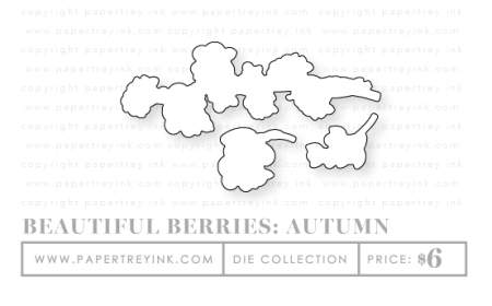 Beautiful-berries-autumn-dies
